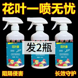 花神纪花叶康通用型花病康正品盆栽植物活性剂喷雾花卉多肉白粉黑 2瓶
