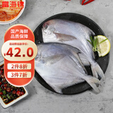 富海锦 渤海银鲳鱼 450g 3条 平鱼 火锅烧烤食材 烤鱼海鲜水产鱼类