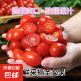 广西新鲜采摘圣女果樱桃小番茄 带箱1斤精选果