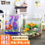 共度（Gong Du）创意桌面鱼缸 生态圆形玻璃金鱼缸乌龟缸迷你小型造景家用水族箱 圆柱形裸缸【口径20CM 高度30CM】