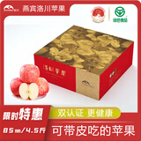 燕宾 值得您信赖的种植者 YB-YUANSHENGTAI【地标农品】洛川苹果陕北红富士苹果产地直发时令苹果脆甜多汁 净重4.5斤 特大果【洛川大苹果】