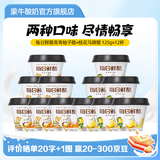 蒙牛（MENGNIU）每日鲜酪低温风味酸奶酸牛乳发酵乳 青青柚子酪+桂花马蹄酪组合12杯