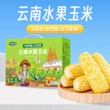 华田禾邦【云南产地】 水果玉米4斤（8-12根）甜黏玉米棒粒 源头直发包邮