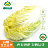 小汤山 北京 有机三宝白菜 800g 基地直供新鲜蔬菜