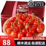 趣觅鲜四川樱桃水果新鲜攀枝花米易小樱桃重庆土恩桃水晶恩特儿樱珠空运 土樱桃1000g