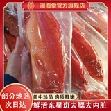 潮海堂 深海海捕东星斑 (去肚去腮)海鲜冷冻瓜子鱼斑鱼生鲜鱼类节日送礼 海捕东星斑 净重400-500g/条