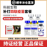 宠莱富狗狗疫苗幼犬疫苗狂犬疫苗幼犬四联六联狗狗幼犬疫苗狗狗四联疫苗六联犬瘟细小 补打套餐【四联*2+狂犬】+1支驱虫药