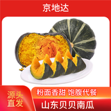 京地达山东贝贝南瓜 净重2斤 单果300g+ 板栗味蔬菜源头直发包邮