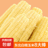 东北甜糯玉米黄糯白糯黑糯 单棒均重＞250g 新采年货真空包装 白糯玉米8棒  均重＞280g