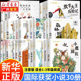 国际大奖儿童文学获奖小说注音版 广东新华推荐一年级课外阅读必读书籍7-10岁世界名著 小学生拼音读物二三年级课外丛书 123.国际获奖小说阅读（全30册）