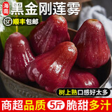 正宗海南黑金刚莲雾5斤新鲜水果现摘红宝石连雾果洋蒲桃顺丰礼盒X 5斤精选装【人工精选大果】 红宝石【顺丰到家】