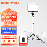 神牛（Godox） LED补光灯P120C摄影灯单反摄像机相机摄像灯影视拍照婚庆常亮灯光 P120C补光灯+4000电池+充电器+2米灯架 双色温
