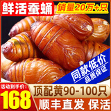 辽梦【销量20万+只】蚕蛹鲜活发货东北特产 新鲜茧蛹特级大黄蚕蛹蝉蛹 顶配黄蛹 净重1000g【90-100只】