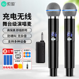 索爱充电接收器无线麦克风家庭KTV唱歌舞台主持演讲K歌会议音箱音响功放万能一拖二金属话筒SA-WS4B