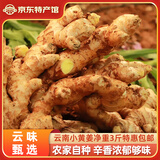滇鲜生正宗云南小黄姜 新鲜生姜 农家自种 调味新鲜食材蔬菜 食用月子姜 精选小黄姜 3斤
