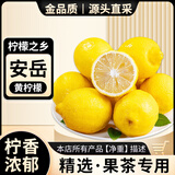 亨迅四川安岳新鲜黄柠檬水果生鲜 （非独立花袋）实惠净重1斤装