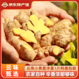滇鲜生正宗云南小黄姜 新鲜生姜 农家自种 调味新鲜食材蔬菜 食用月子姜 精选小黄姜 1斤