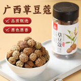 川珍草豆蔻90g瓶装 脱骨草寇草扣 卤肉炖牛羊肉香辛调料火锅底料