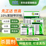 先正达世高10%苯醚甲环唑果树黑星黑痘病炭疽叶枯锈病杀菌剂100g*1袋 