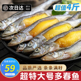 鲜随渔动 满籽多春鱼 1000g 50-60条 多籽鱼鱼子海鲜鱼类生鲜烧烤 4斤装特大号【12-15厘米】