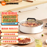 小米（MI） 米家电磁炉青春版家用双频迷你型火锅汤锅火力智能温控灶组合套装 煮汤锅