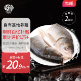 中润鱼 江苏白鲢鱼头500g*2袋 净重2斤 鱼类 剁椒鱼头 源头直发 包邮
