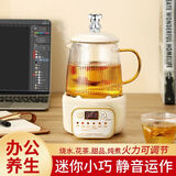 善器者养生壶全玻璃烧水壶多功能煮茶壶迷你办公室一人用煮茶器滤网分离保温炖煮壶养生杯小型泡茶花茶壶 智能款 1.05L 玻璃杯