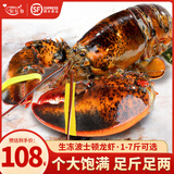 鲟好物 波士顿龙虾大波龙 冰鲜冷冻澳洲大龙虾虾类海鲜水产 1-1.2斤/只 1只大龙虾