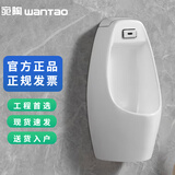 宛陶（wanTao）家用小便器陶瓷感应小便斗壁挂式男士尿斗卫生间挂墙式成人小便池 8216挂墙式(墙排水)