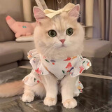 阿莫尔猫咪衣服夏季薄款网纱飞袖裙可牵引金渐层布偶幼猫宠物狗狗防掉毛 蘑菇飞袖裙 S(建议3-5斤具体参考胸围背长)