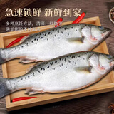 整条海鲈鱼深海鱼七星大鲈鱼超大新鲜冷冻海鲜水产海鱼顺丰 2条装（1.2-1.4斤/条）