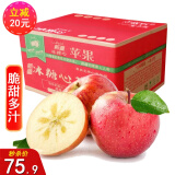 源外 正宗新疆大漠冰糖心苹果 净重8.5斤新鲜水果脆甜红富士丑苹果 优选特大果（85mm+）
