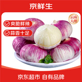 京鲜生 云南蒜独头蒜 净重1斤中果2.5-3.0cm 独蒜带土发货 源头直发