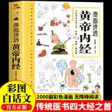 黄帝内经彩图漫画版 原版正版全集白话文讲透皇帝内经 儿童漫画版四季养生法中医养生书籍大全百病食疗入门 养生智慧中医入门书籍一看就懂 