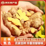 滇鲜生正宗云南小黄姜 新鲜生姜 农家自种 调味新鲜食材蔬菜 食用月子姜 优选小黄姜 2斤