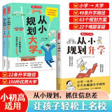 从小规划大学+升学（共3册）高考填报志愿指南名校985/211升学路径小学初中高中大学择校专业规划书