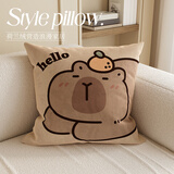 慢说抱枕沙发靠枕飘窗睡觉靠背垫卡通枕套可拆洗含抱枕芯内胆 45x45cm