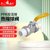 天一金牛（TIANYIJINNIU  家装PPR双头活接铜球阀20 25 32 4分6分水管配件 20（4分）铜体铜芯