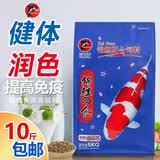海豚鱼粮 锦鲤鱼饲料育成增体增色锦鲤鱼食上浮粮金鱼观赏鱼饲料 5kg色扬M中粒