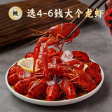 赴鲜记熟醉小龙虾700克花雕醉小龙虾4-6钱 净虾500g 冰镇即食醉虾熟食