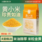 天勤粒粒净黄小米 1斤 小米杂粮(小米粥 五谷杂粮 小黄米 米饭伴侣 粥米)