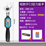 思为（SHSIWI）数显扭力扳手高精度工业电子预置定扭扭矩力矩摩托车棘轮汽修套装 带角开口头ZWK-100(3-100N.m)