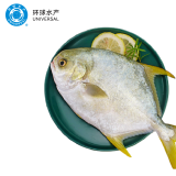环球水产 南海特大金鲳鱼 750g1条  BAP认证 生鲜鱼类 海鲜水产 家庭聚餐