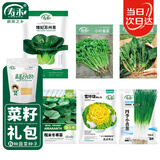 寿禾 蔬菜种子种苗春季菠菜香菜黄心乌苏州青 冬季6种蔬菜种子大全