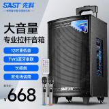 先科大功率广场舞音响户外k歌专用大音量移动音箱室外拉杆音响带无线话筒SA-122