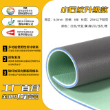 利德（LIDE）乒乓球地胶室内羽毛球场地胶垫篮球场地垫pvc运动地胶塑胶地板垫 小石纹升级款6.0mm