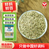 汇营小茴香调味料50g香辛料调料厨房调味火锅烧烤香卤料炖肉必备
