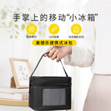 美德乐（Medela）便携式出行背奶包储奶冰包妈妈冷藏包长效储存携带母乳保鲜妈咪包