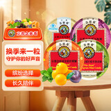 京都念慈菴缤纷组合装（枇杷糖+柠檬草薄荷糖+乌梅糖+金桔柠檬糖）45g*4盒