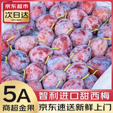 优味集【顺丰/JD】智利西梅进口水果新鲜李子孕妇生鲜整箱多地次日达 500g净重装（进口金果）-顺丰 商超级特大果15-40g